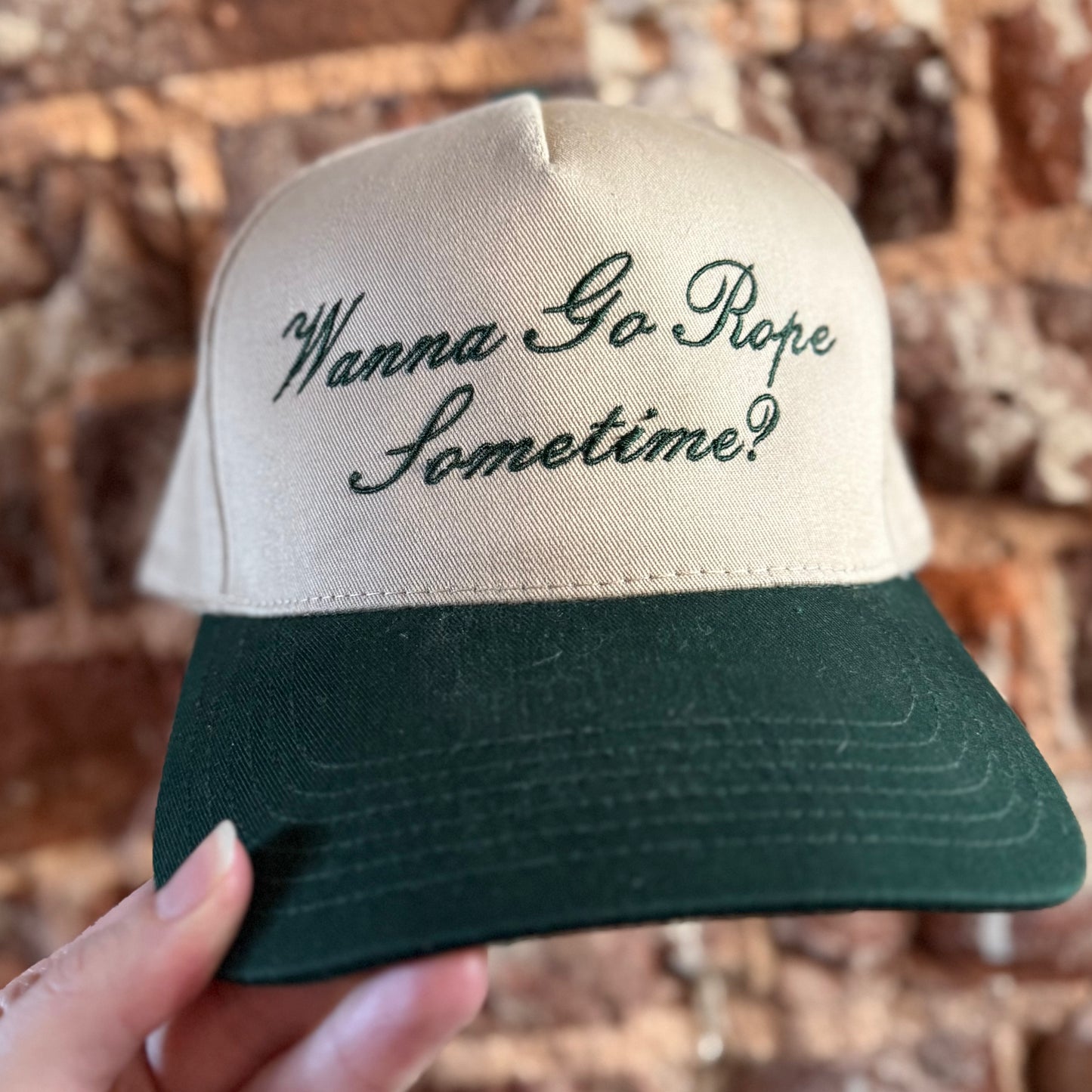 Wanna Go Rope Sometime? Embroidered Hat